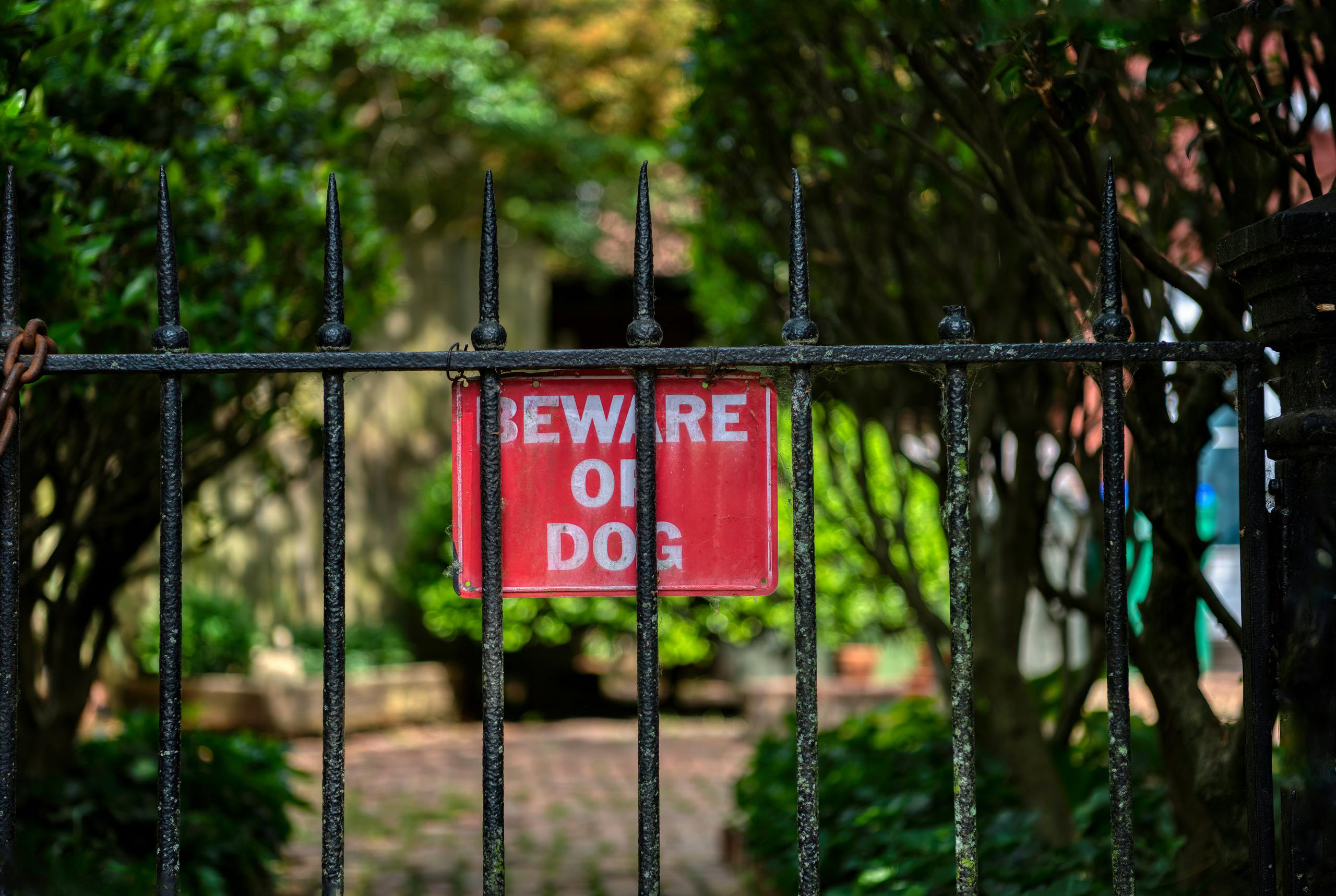 a red sign with the words "beware of dog" in white letters is attached to a black, wrought-iron fence.